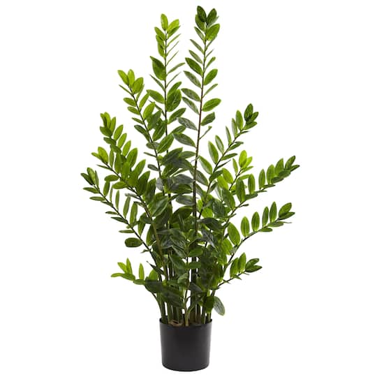 4ft. Potted ZZ Plant
